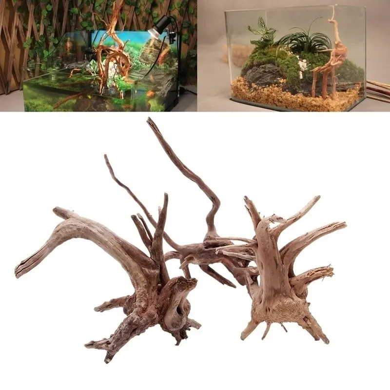 Aquarium Moss - Tronc d'Arbre Naturel en Bois Flotté