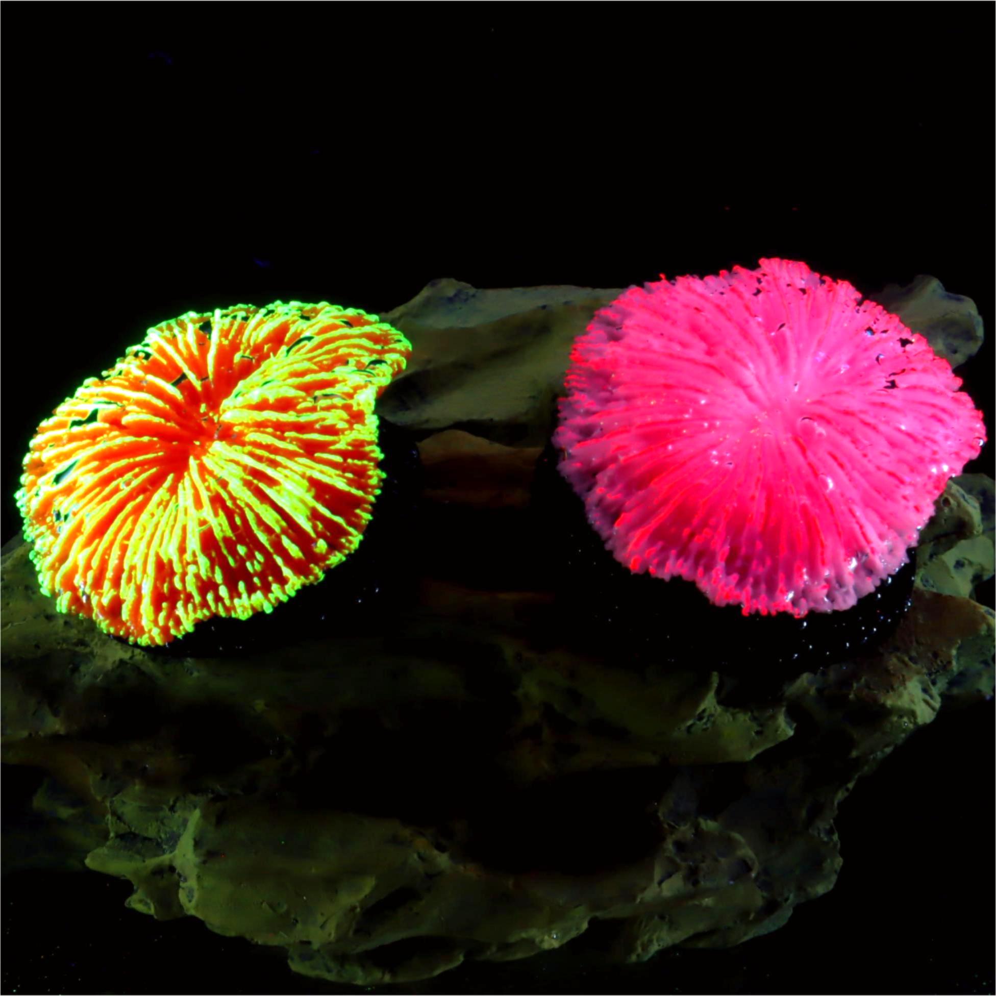 Live Plant Aquarium - 1 pièce de décoration d'aquarium, corail