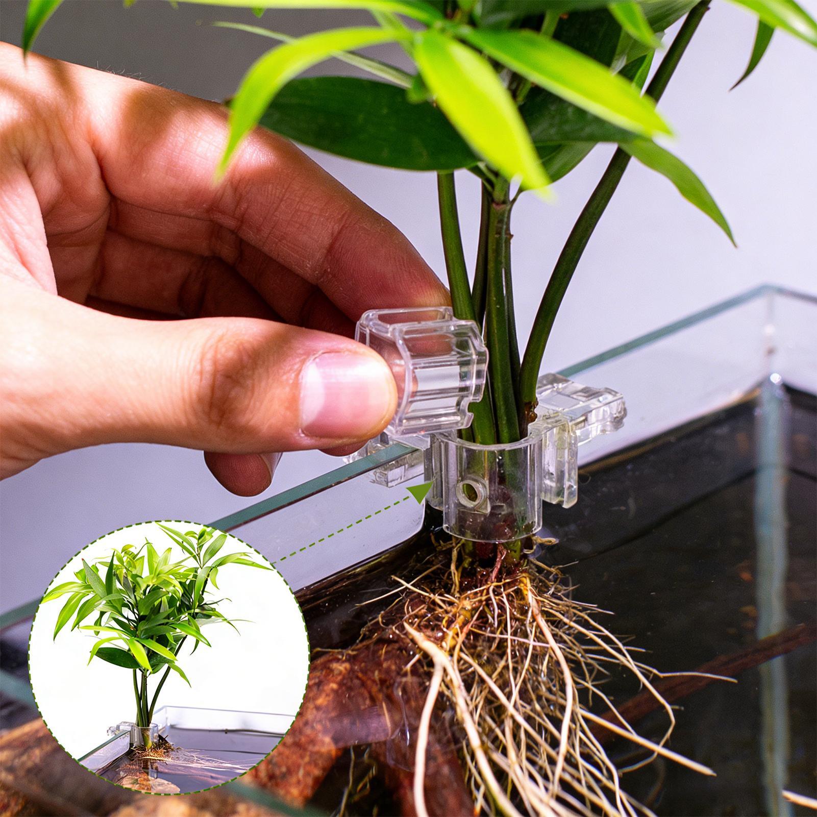 Aquarium Fertilizer - Mini pot de culture pour aquarium,