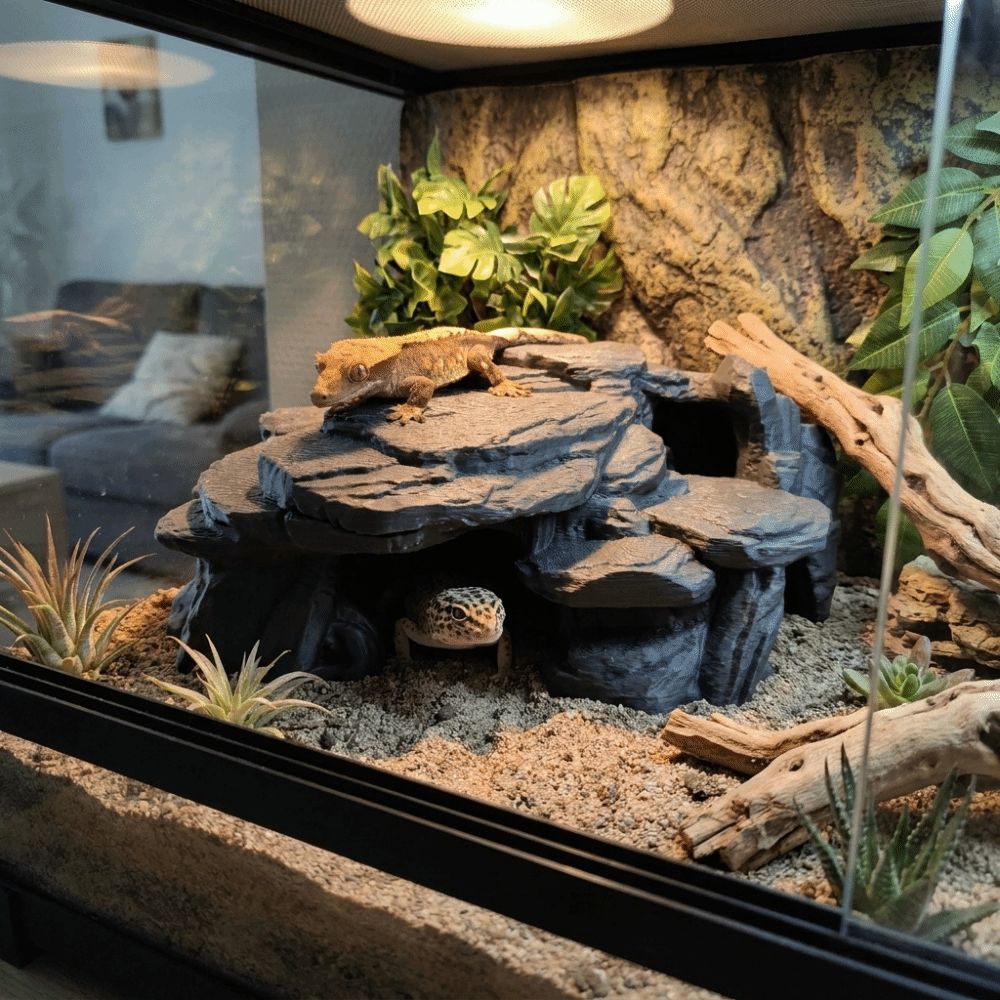 Ornements de rocherie pour aqu - Aquarium Plants Live avis et prix