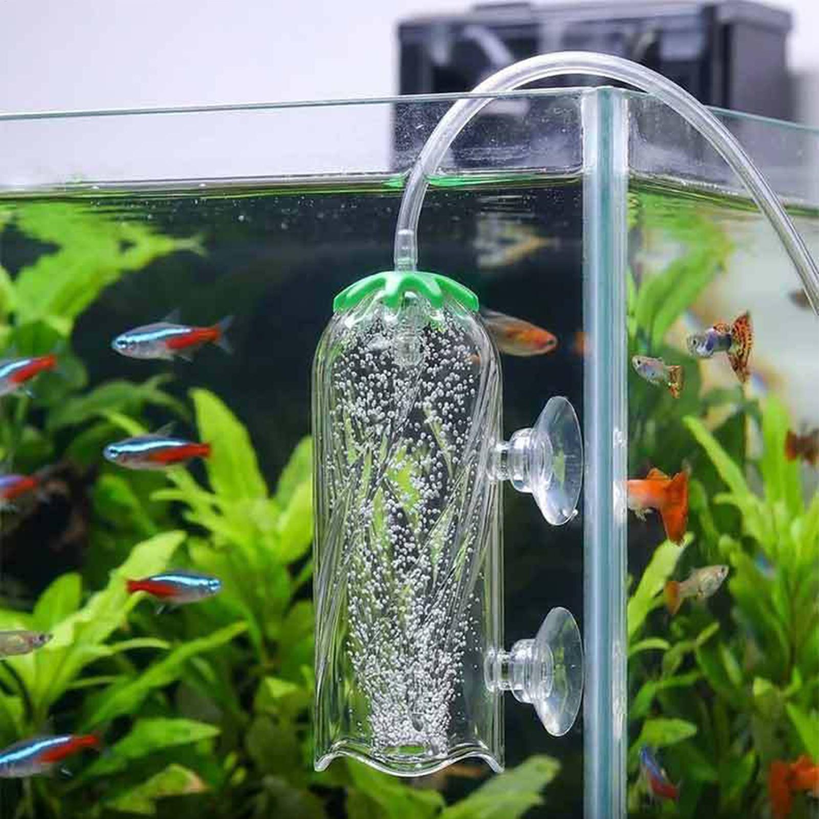 Diffuseur d'oxygène pour aquar - Aquarium Planted Tank Filter avis et prix