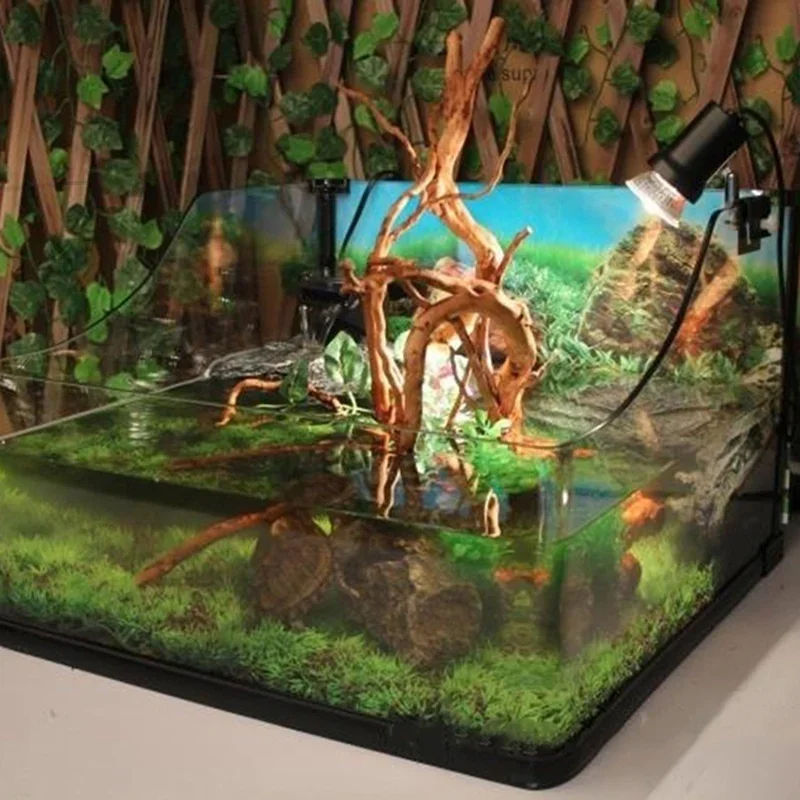 Tronc d'Arbre Naturel en Bois  - Aquarium Moss avis et prix