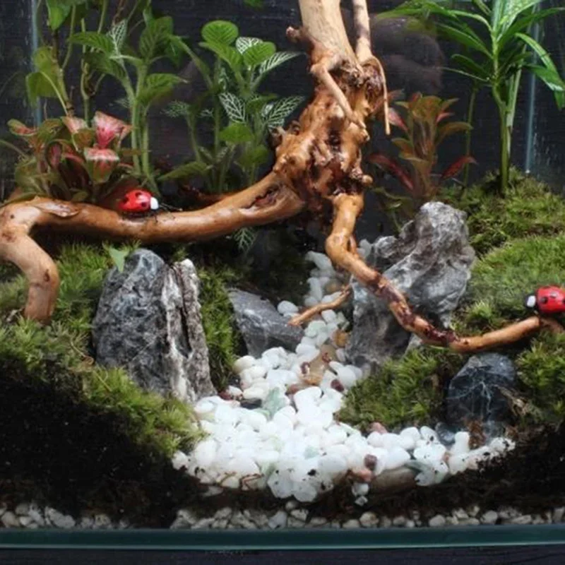 Tronc d'Arbre Naturel en Bois  - Aquarium Moss avis et prix