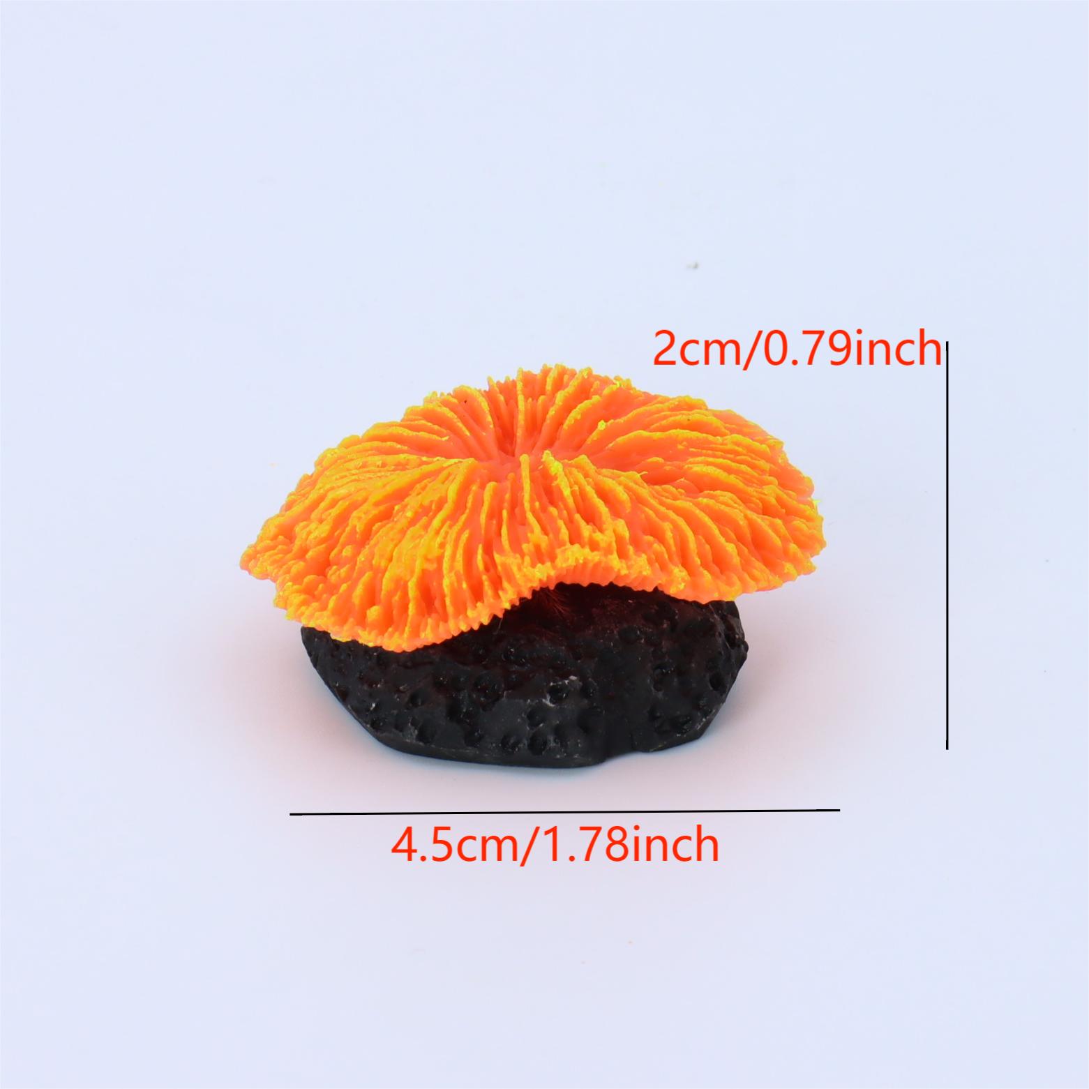 1 pièce de décoration d'aquari - Live Plant Aquarium avis et prix