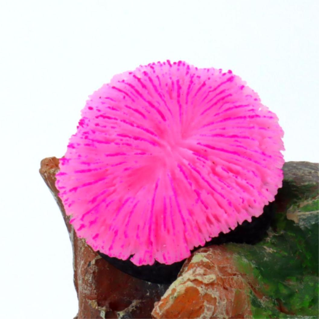 1 pièce de décoration d'aquari - Live Plant Aquarium avis et prix
