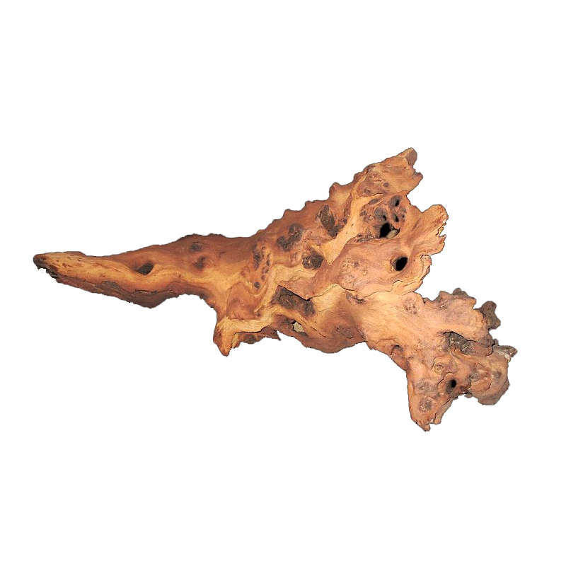 Bois flotté de racines de Mopa - Aquarium Driftwood avis et prix