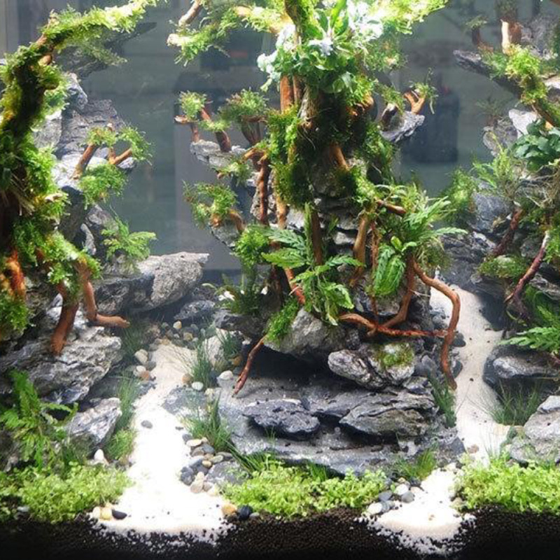 Décorations et fournitures pou - Aquarium Driftwood avis et prix