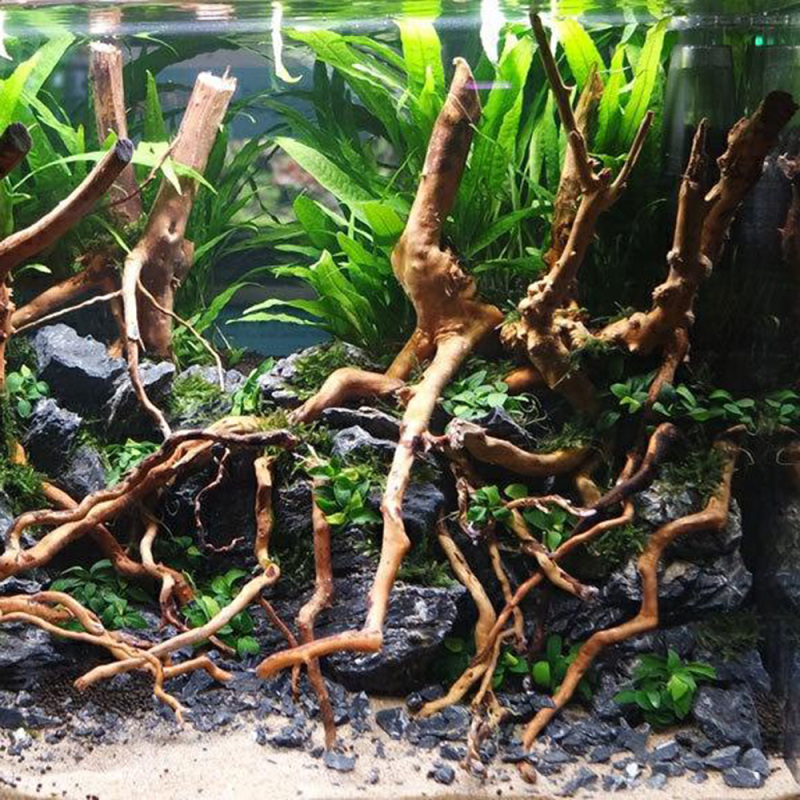 Décorations et fournitures pou - Aquarium Driftwood avis et prix