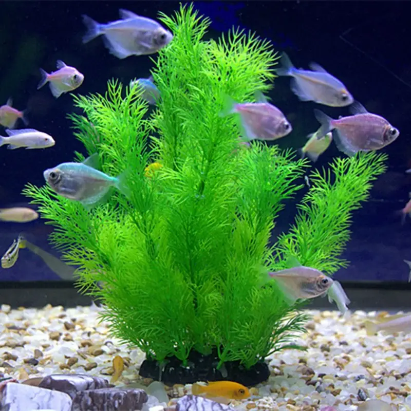 Plantes artificielles de décor - Aquarium Plants Live avis et prix