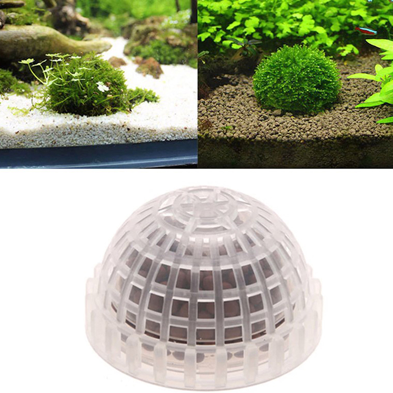 1 pièce de fournitures pour an - Live Plant Aquarium avis et prix