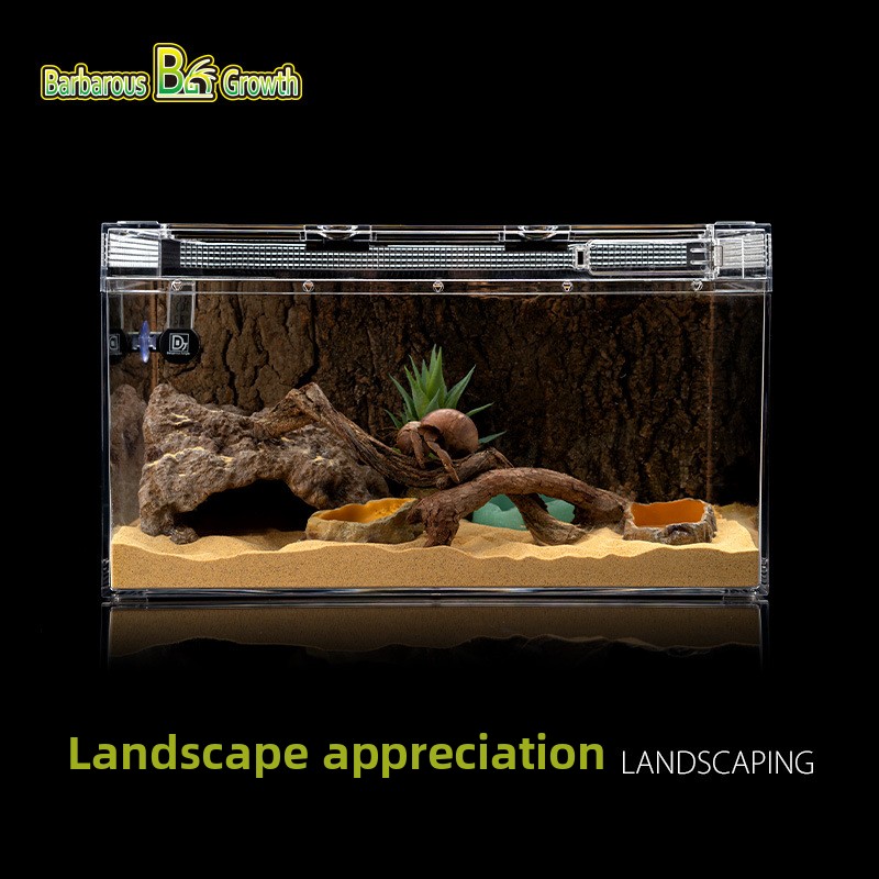 BarbarousGrowth – décor en boi - Aquarium Driftwood avis et prix