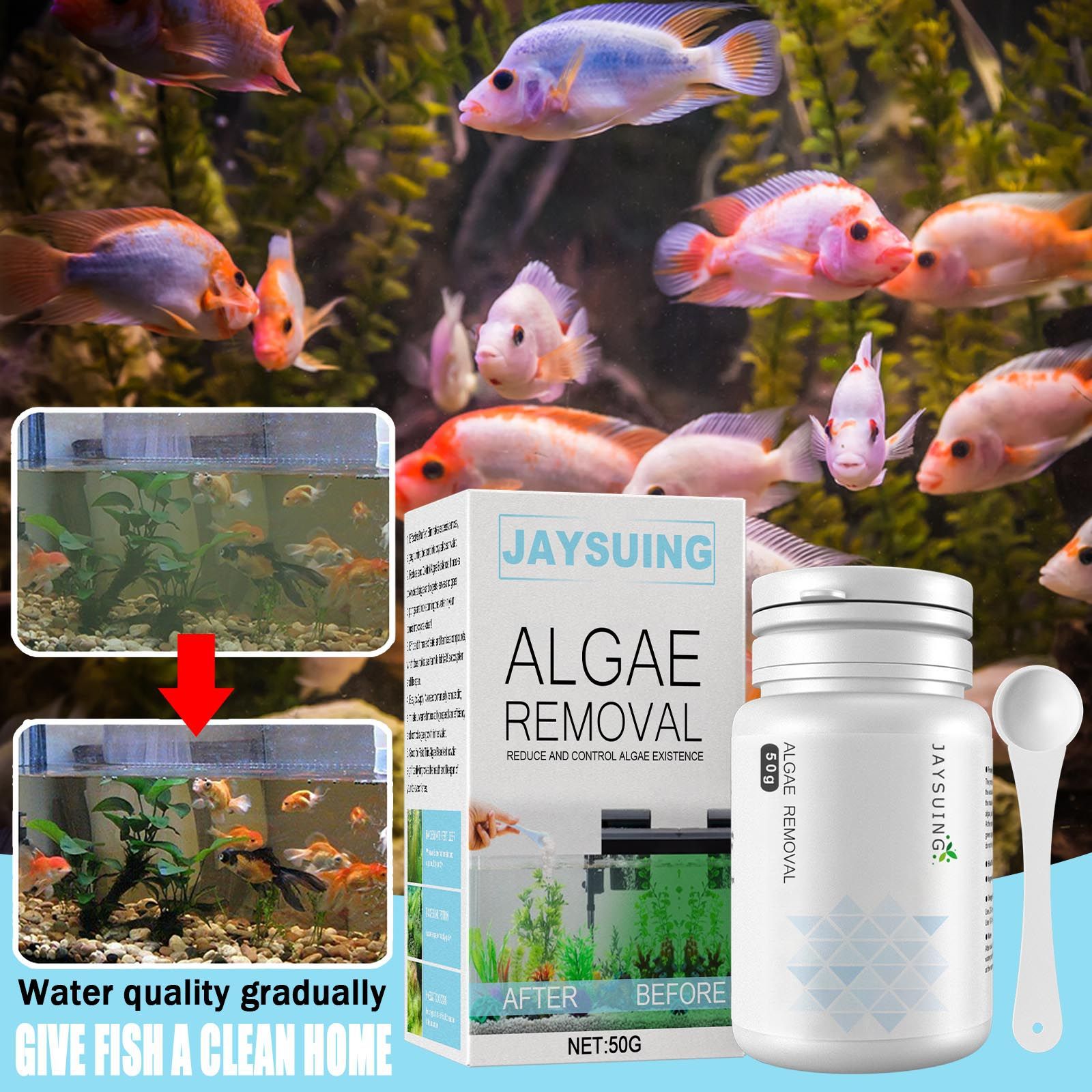 Poudre anti-algues pour aquari - Aquarium Moss avis et prix