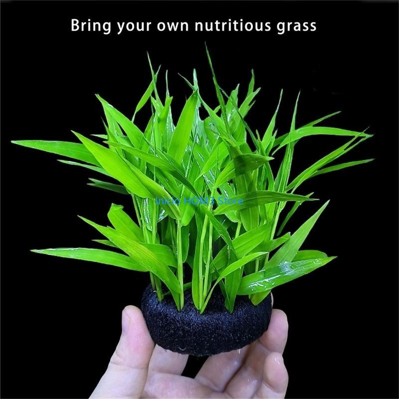 Substrat sûr pour plantes aqua - Aquarium Plant Substrate avis et prix