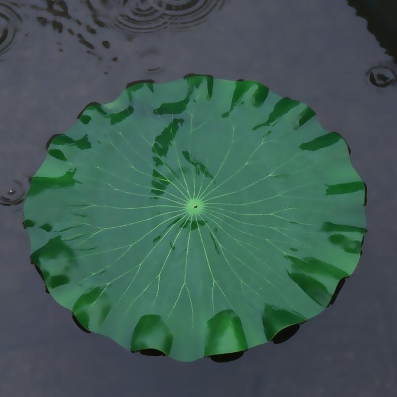 Nouvelles feuilles de lotus ar - Aquarium Moss avis et prix
