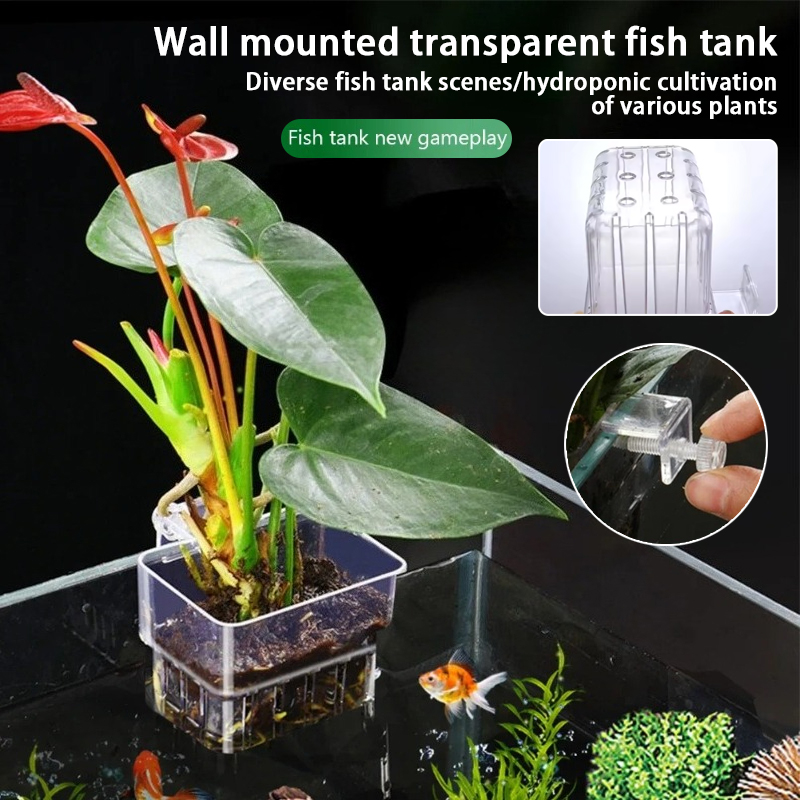 Pots suspendus pour aquarium,  - Aquarium Plant Holder avis et prix