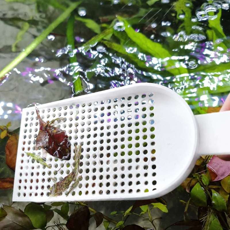 Épuisette à débris pour aquari - Planted Aquarium Cleaning avis et prix