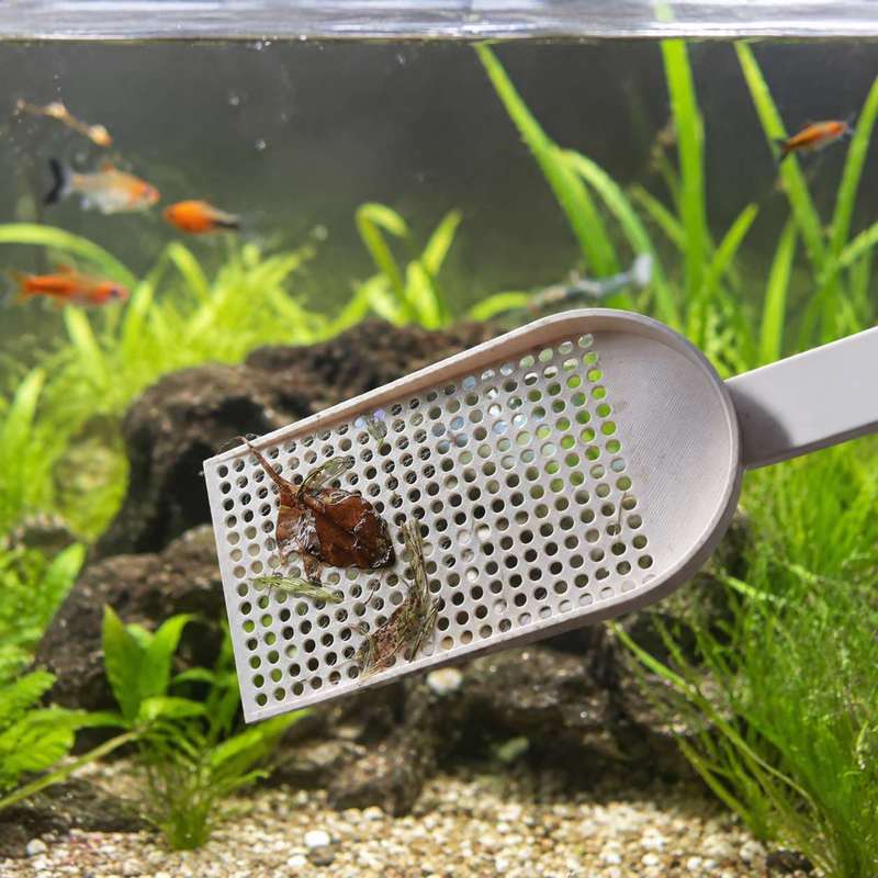 Épuisette à débris pour aquari - Planted Aquarium Cleaning avis et prix