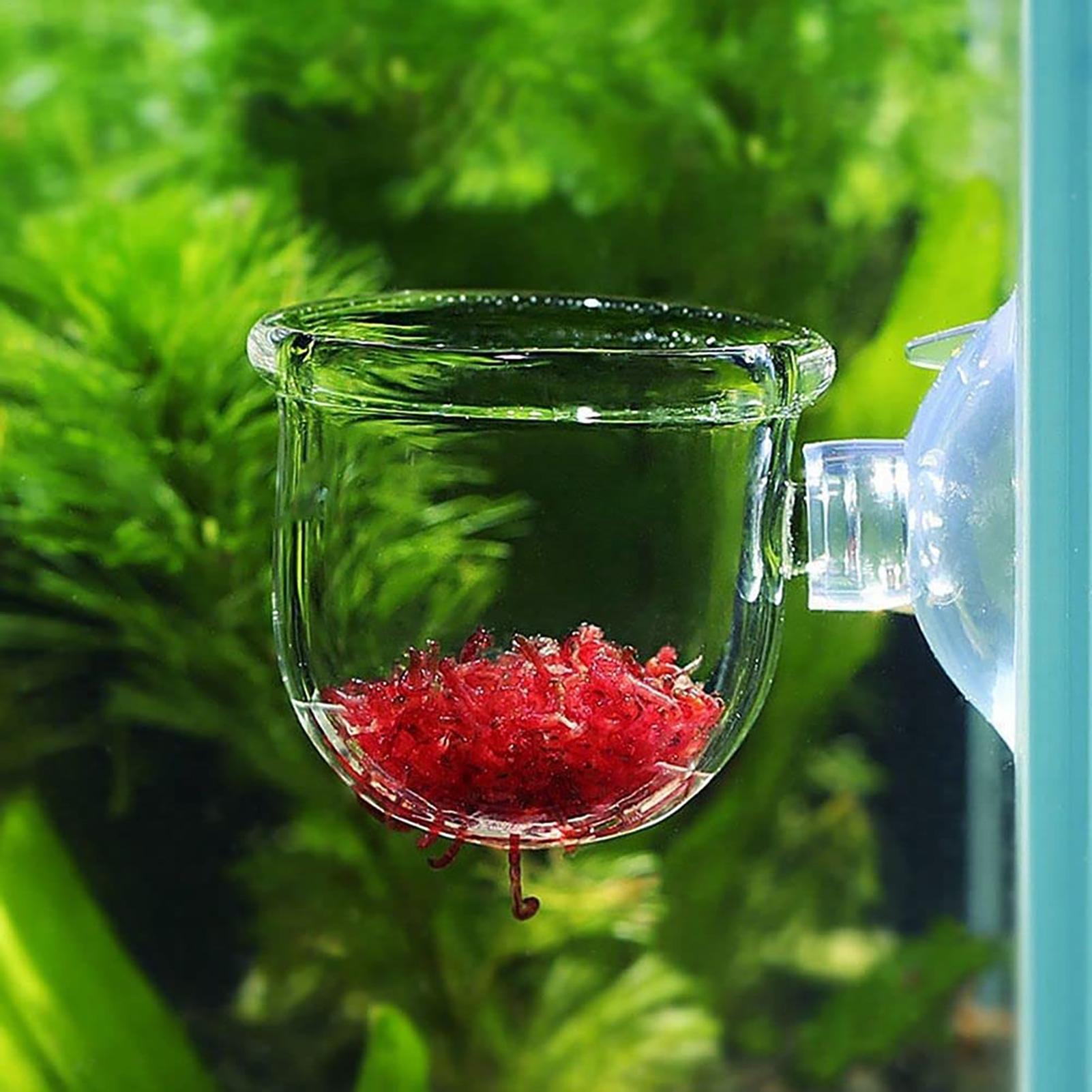 Pot en acrylique pour plantes  - Plant Aquarium Pot avis et prix