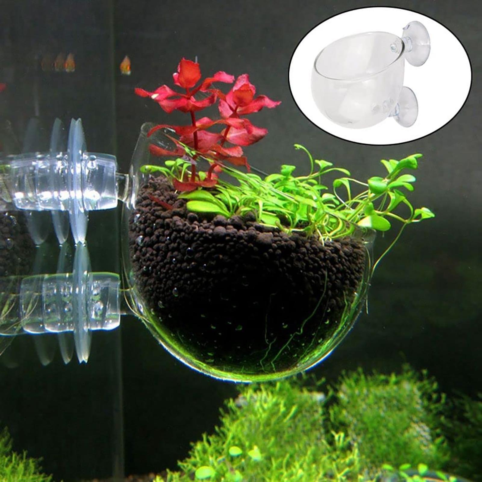 Pot en acrylique pour plantes  - Plant Aquarium Pot avis et prix