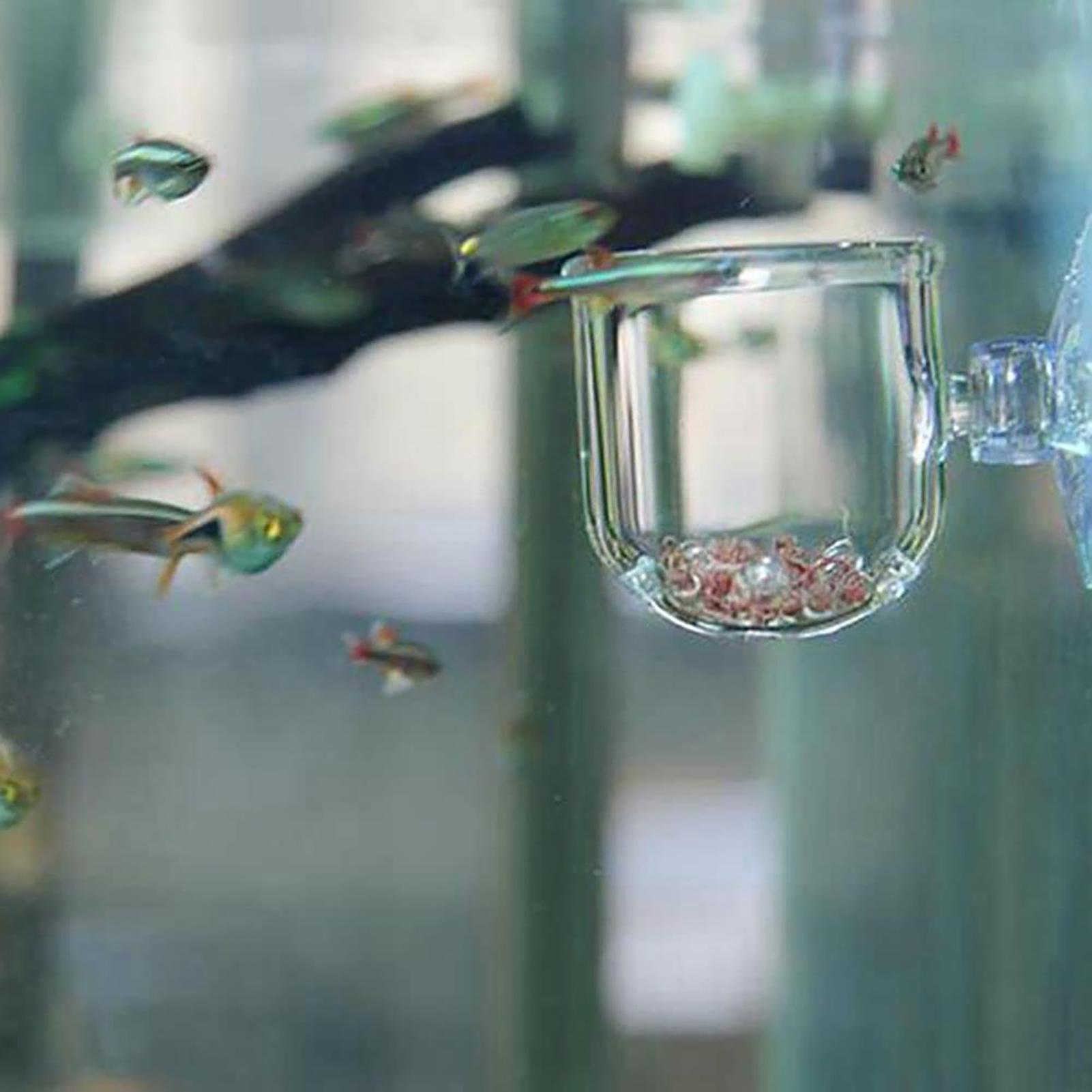 Pot en acrylique pour plantes  - Plant Aquarium Pot avis et prix