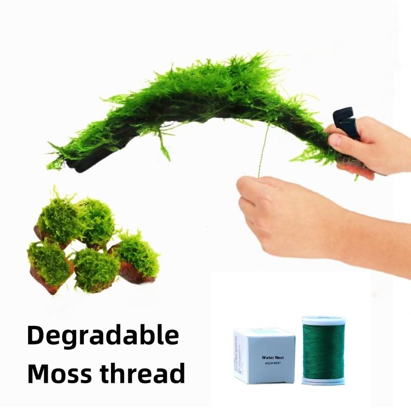 Fil de mousse naturellement dé - Aquarium Moss avis et prix