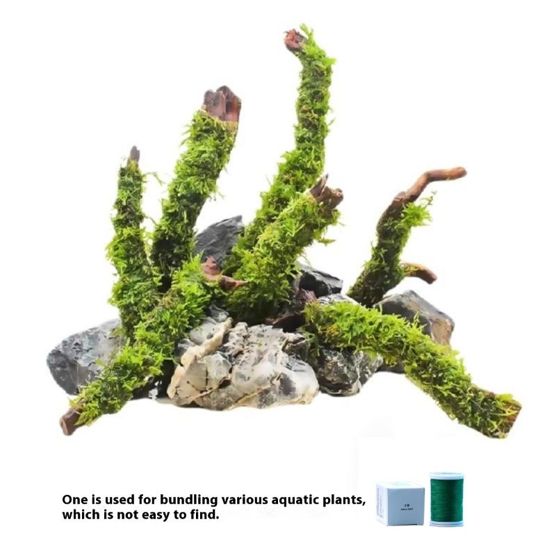 Fil de mousse naturellement dé - Aquarium Moss avis et prix