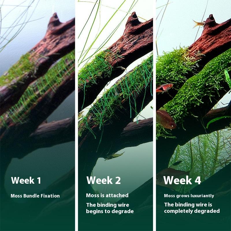 Fil de mousse naturellement dé - Aquarium Moss avis et prix