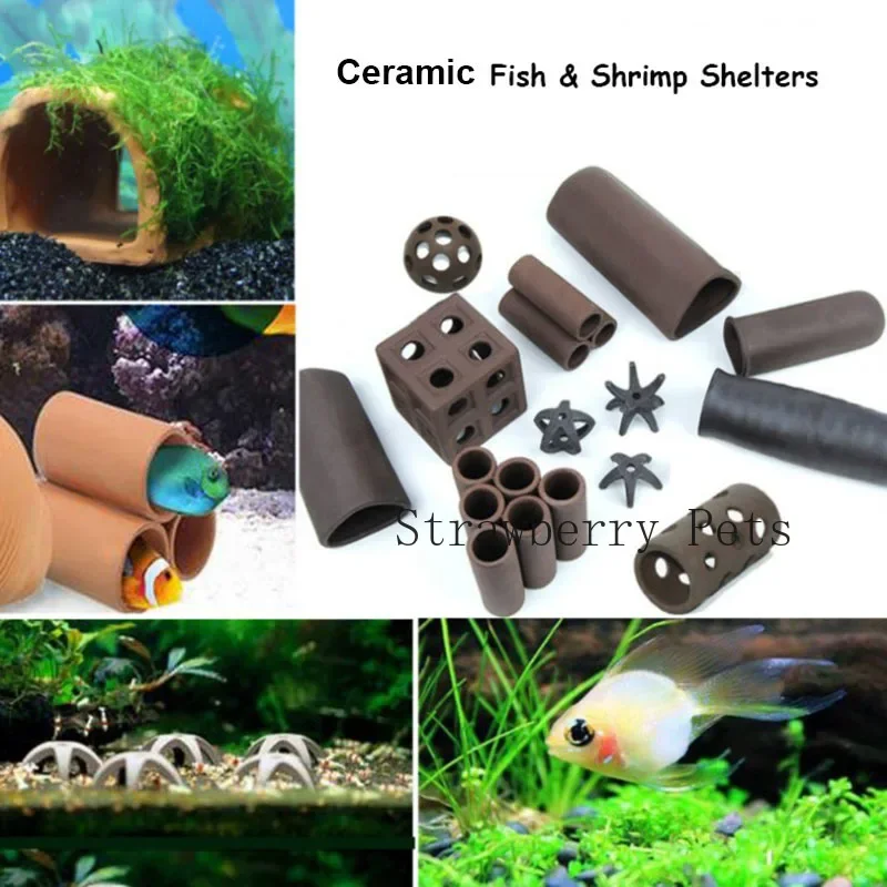 Décoration d'aquarium en céram - Aquarium Plants Live avis et prix