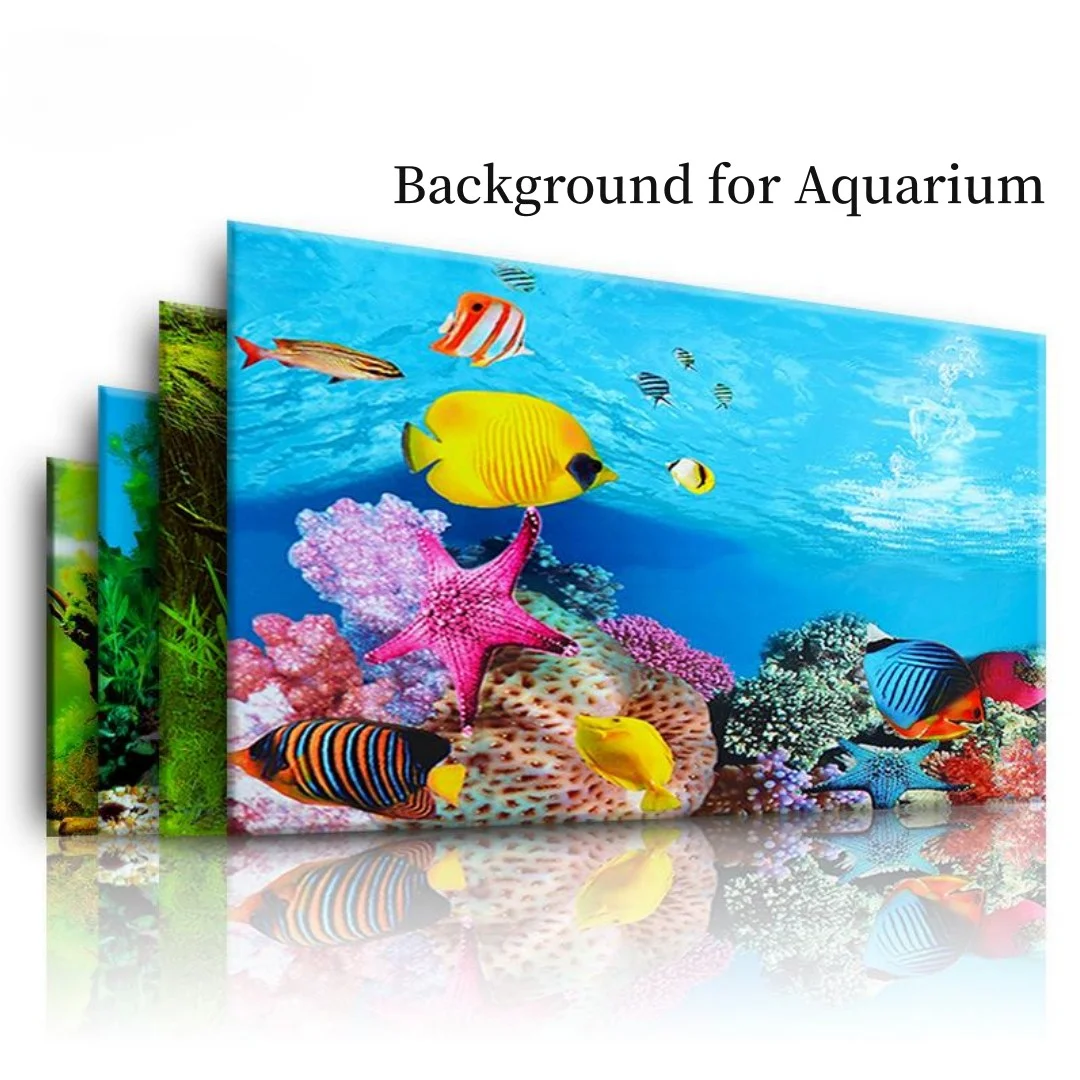 Autocollant 3D de Fond d'Aquar - Aquarium Plants Live avis et prix
