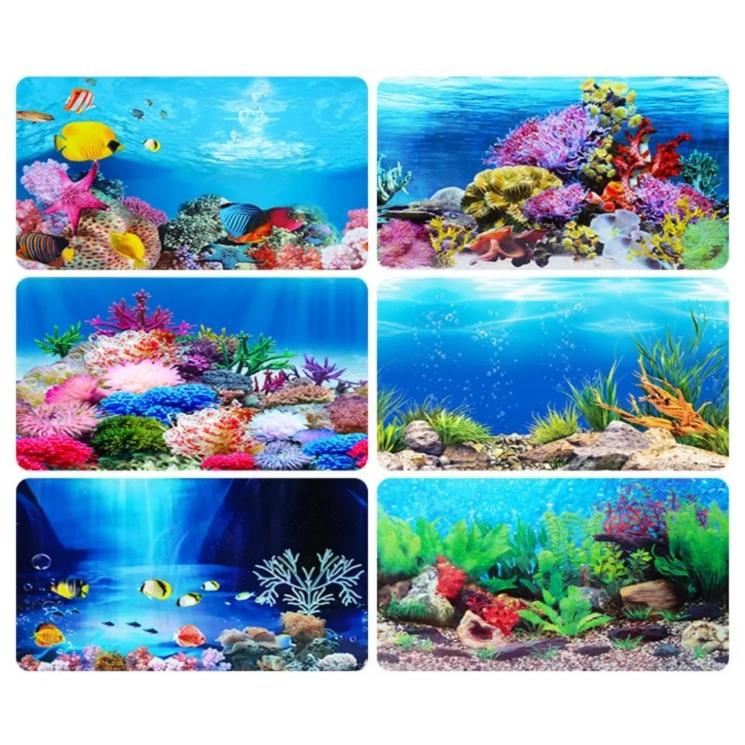 Autocollant 3D de Fond d'Aquar - Aquarium Plants Live avis et prix
