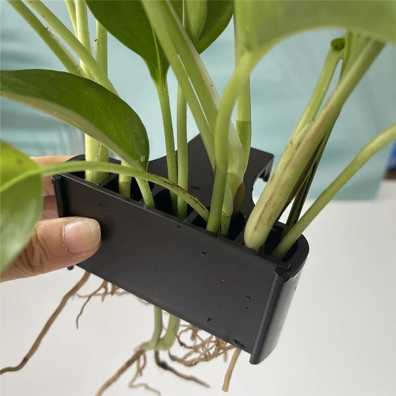 AT05 – Pot pour plantes d’aqua - Live Plant Aquarium avis et prix