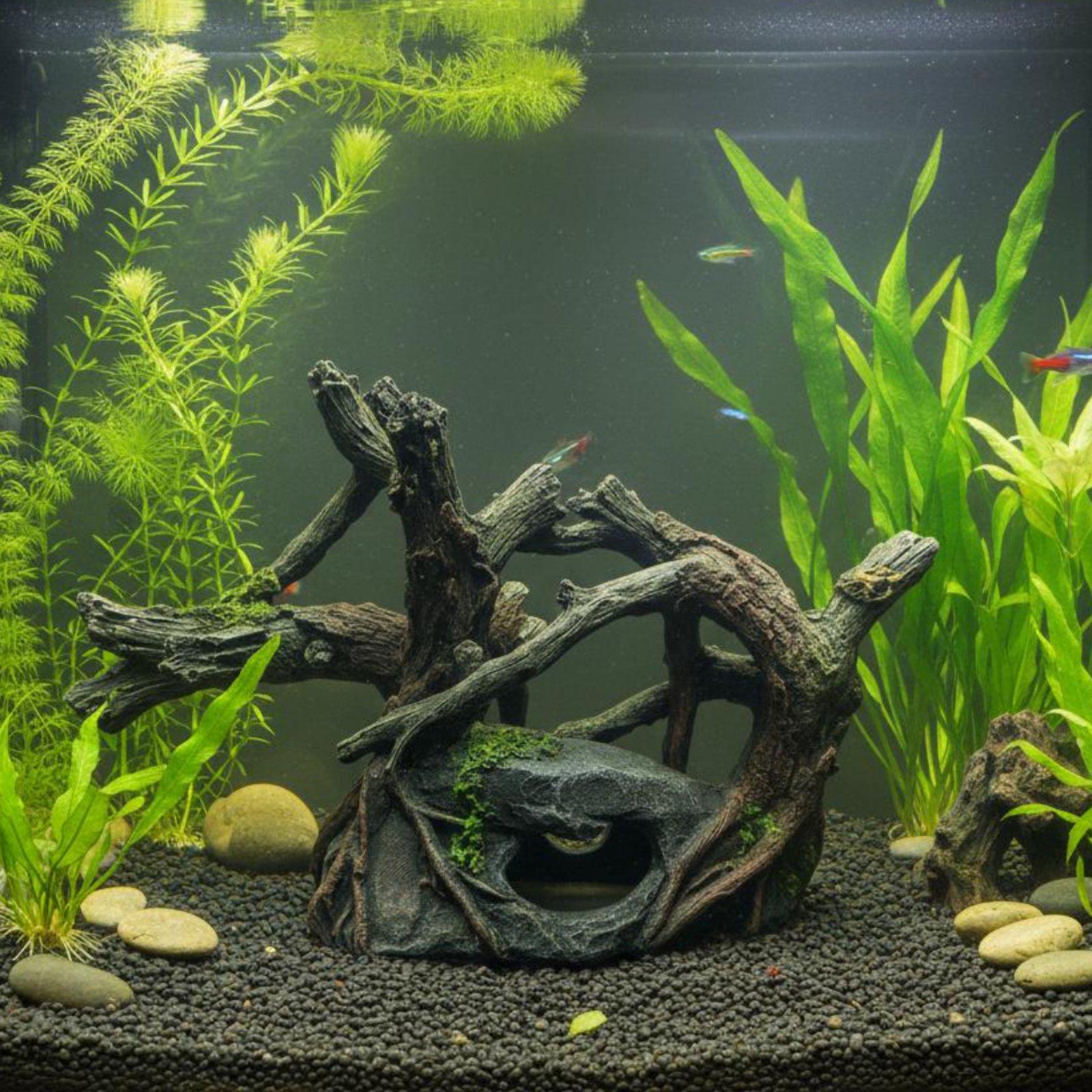 Abri pour aquarium en résine,  - Aquarium Driftwood avis et prix
