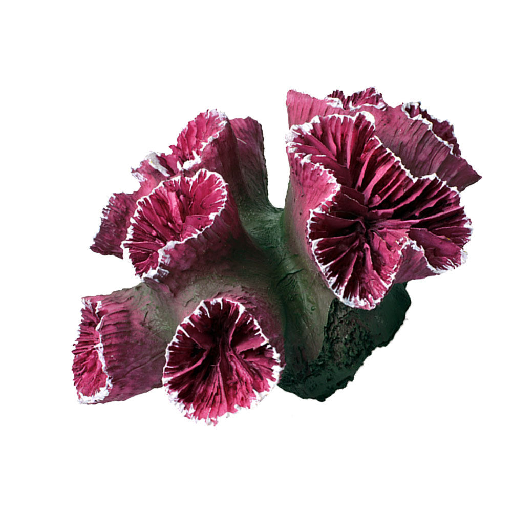 Ornement de corail en résine d - Live Plant Aquarium avis et prix