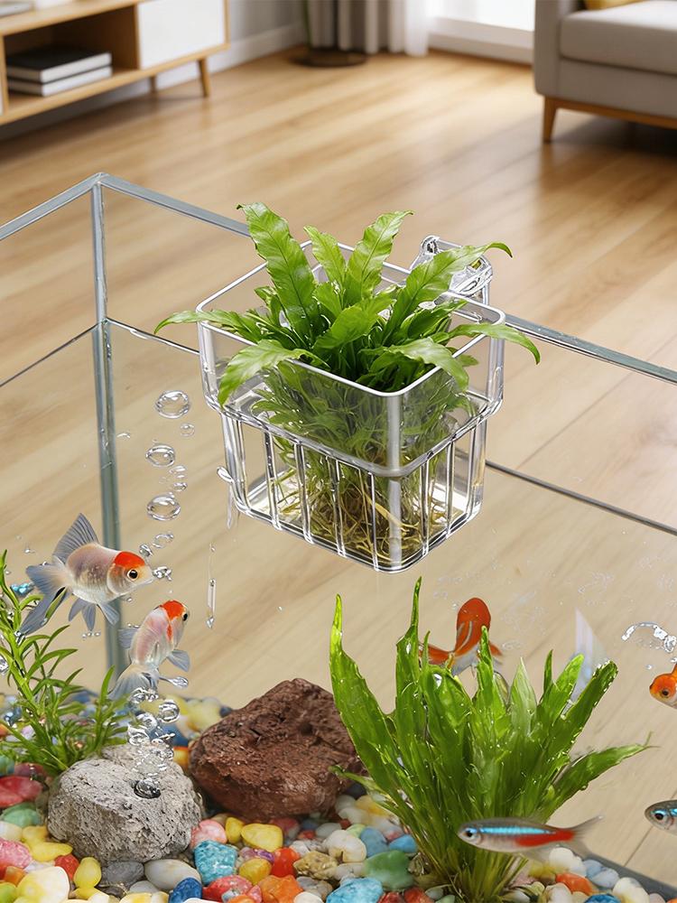 Support transparent pour plant - Aquarium Plant Holder avis et prix