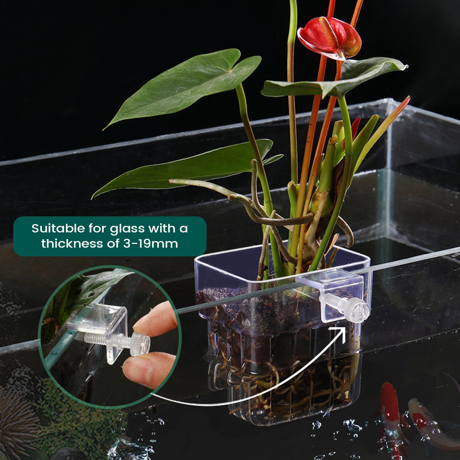 Support transparent pour plant - Aquarium Plant Holder avis et prix