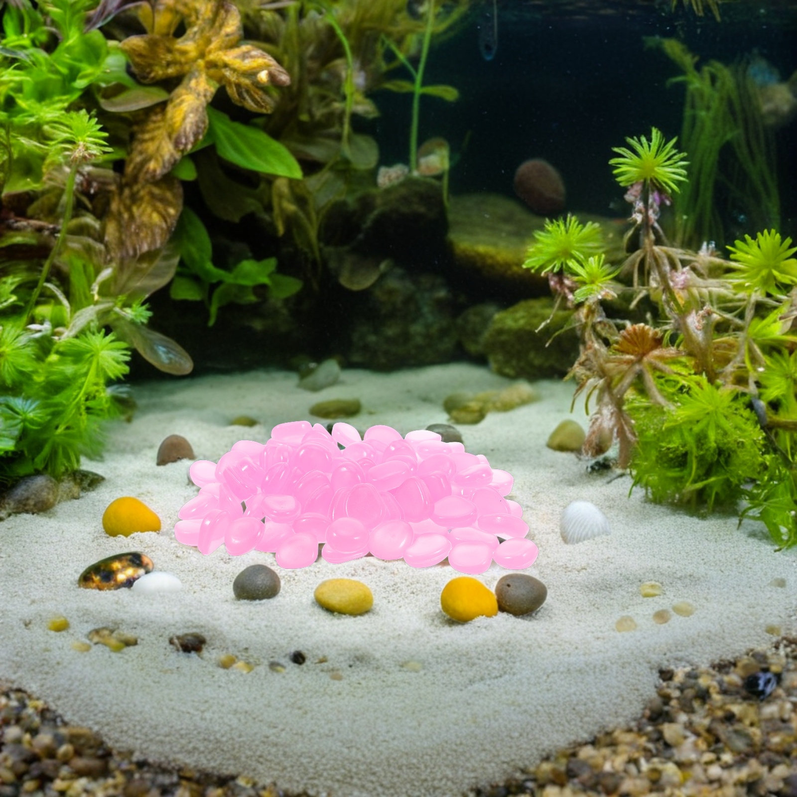 Galets en résine phosphorescen - Plant Aquarium Pot avis et prix