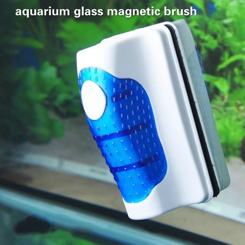 Grattoir à verre pour aquarium - Planted Aquarium Cleaning avis et prix