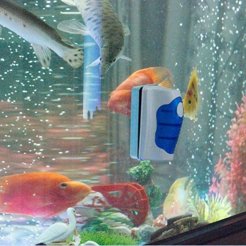 Grattoir à verre pour aquarium - Planted Aquarium Cleaning avis et prix