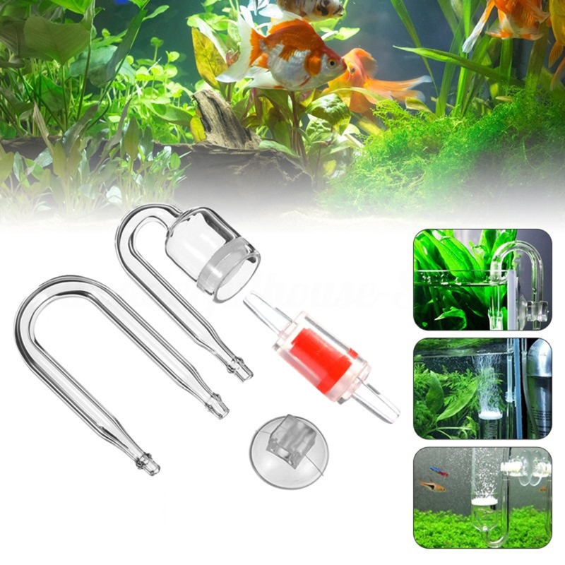 Diffuseur de CO2 pour aquarium - Aquarium Moss avis et prix