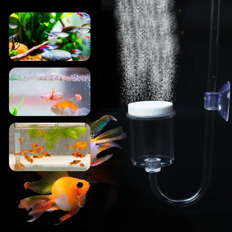 Diffuseur de CO2 pour aquarium - Aquarium Moss avis et prix