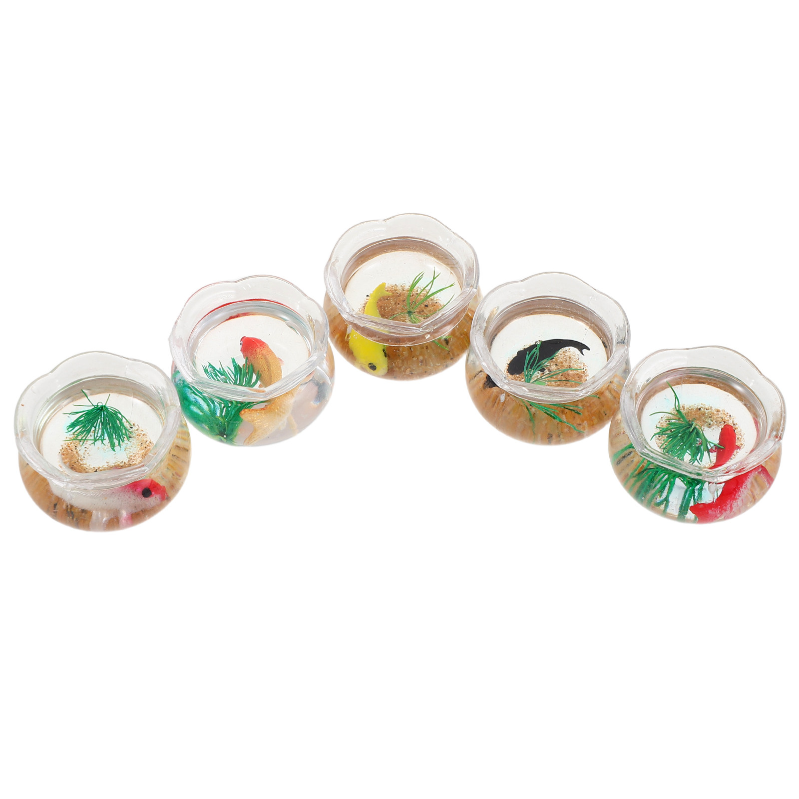 Ensemble de 5 mini aquariums p - Planted Tank avis et prix