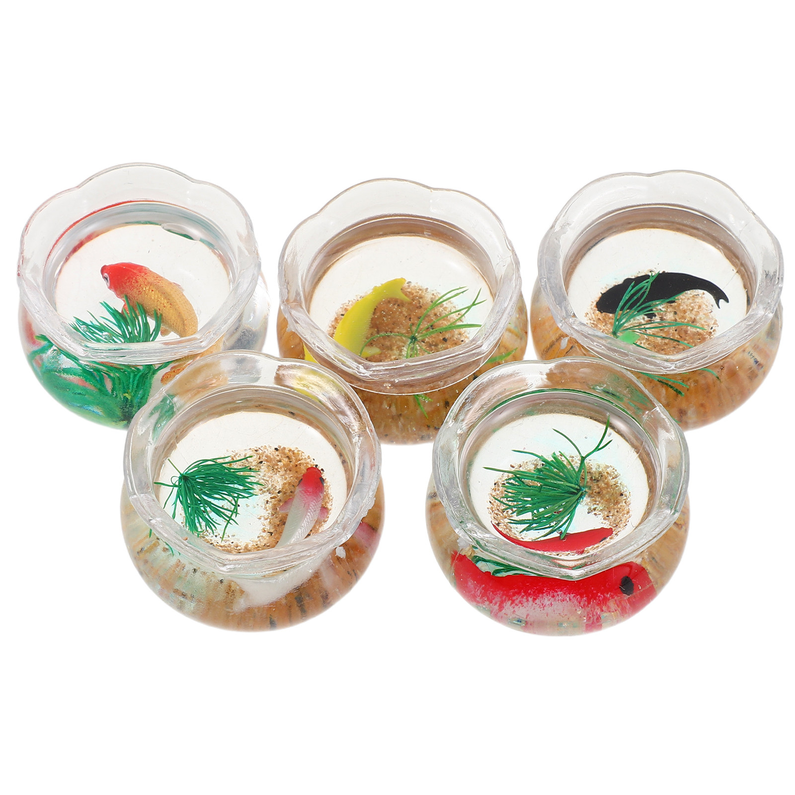 Ensemble de 5 mini aquariums p - Planted Tank avis et prix