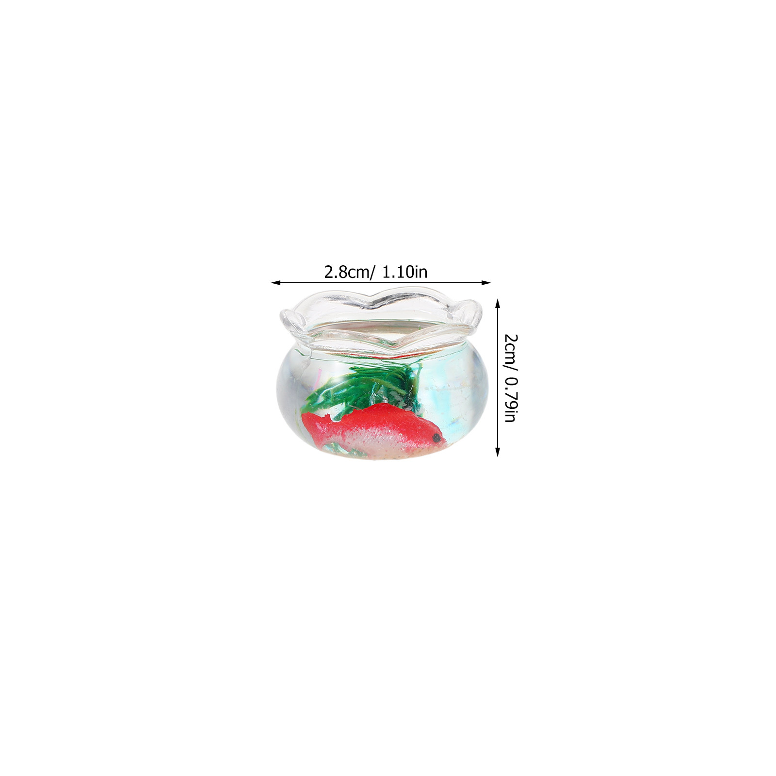 Ensemble de 5 mini aquariums p - Planted Tank avis et prix