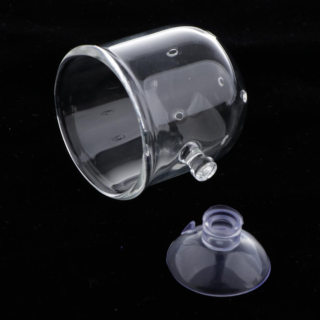 Panier d'alimentation pour poi - Plant Aquarium Pot avis et prix