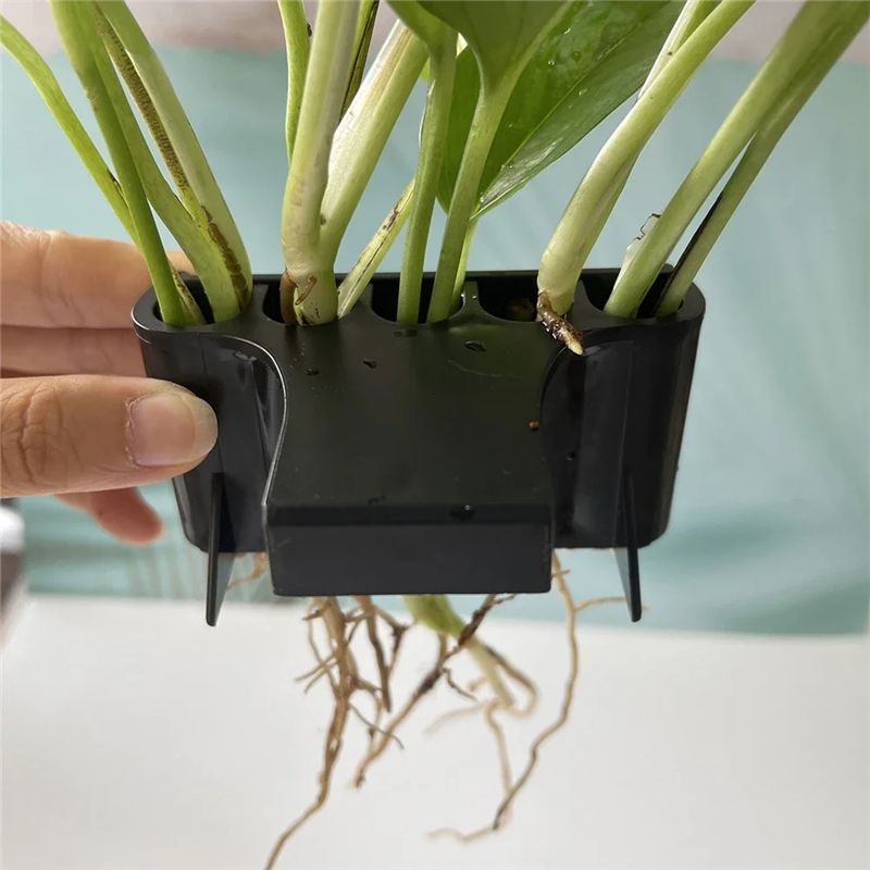 THIVN – Panier pour plantes d' - Live Plant Aquarium avis et prix
