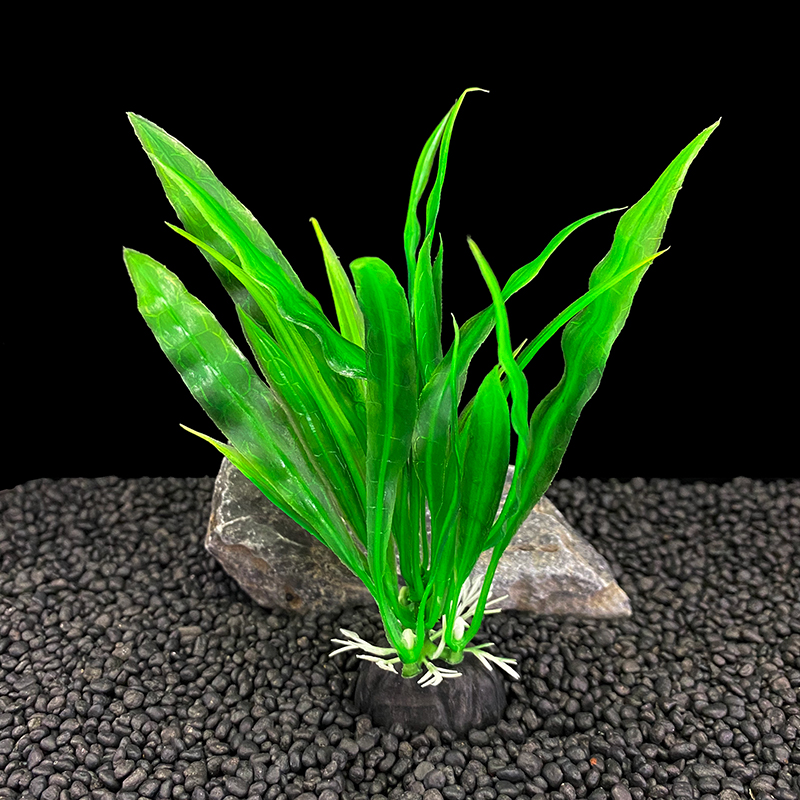 Lot de 6 plantes d'aquarium, d - Aquarium Moss avis et prix